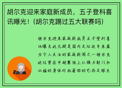 胡尔克迎来家庭新成员，五子登科喜讯曝光！(胡尔克踢过五大联赛吗)