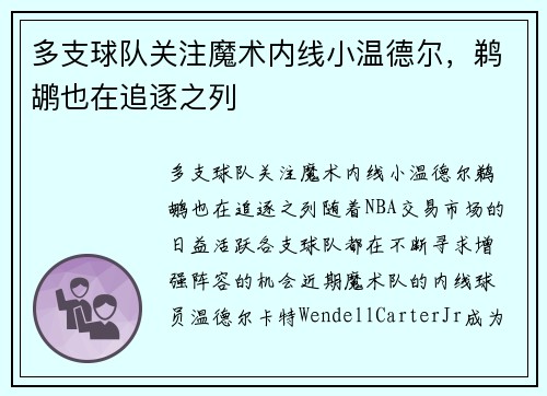 多支球队关注魔术内线小温德尔，鹈鹕也在追逐之列