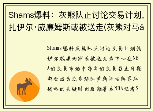 Shams爆料：灰熊队正讨论交易计划，扎伊尔·威廉姆斯或被送走(灰熊对马刺聚胜顽球汇)