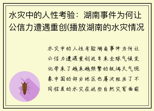 水灾中的人性考验：湖南事件为何让公信力遭遇重创(播放湖南的水灾情况)