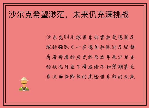 沙尔克希望渺茫，未来仍充满挑战