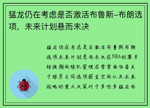 猛龙仍在考虑是否激活布鲁斯-布朗选项，未来计划悬而未决