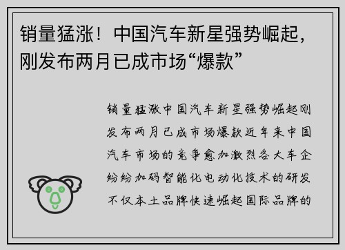 销量猛涨！中国汽车新星强势崛起，刚发布两月已成市场“爆款”