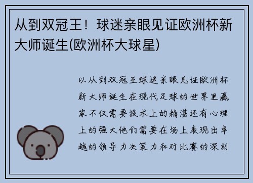 从到双冠王！球迷亲眼见证欧洲杯新大师诞生(欧洲杯大球星)